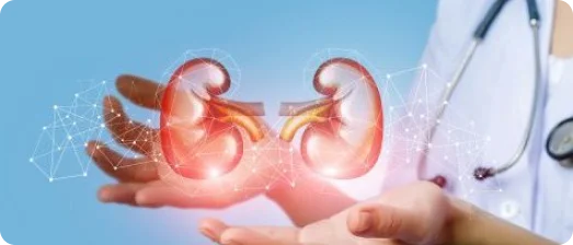 kidney care- banner image